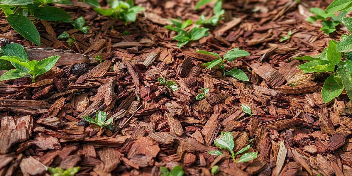 Réchaud portatif/mini poêle à bois